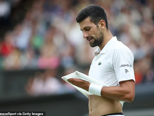 What kind of player can stop Novak Djokovic?